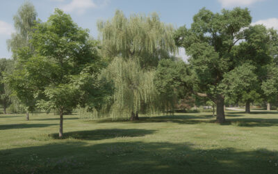 Arbres à croissance rapide : quelles variétés pour créer de l’ombre