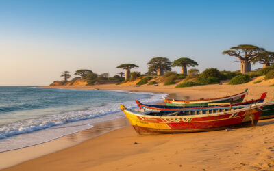 Quand partir au Sénégal ?